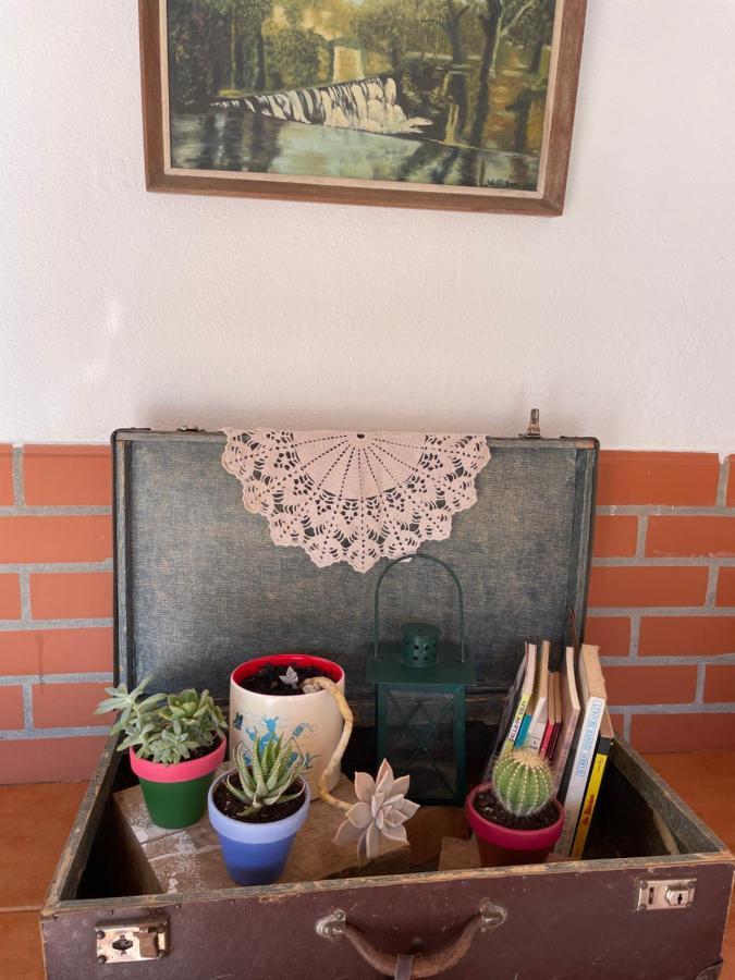 Del Rey Guest House Tomar Dış mekan fotoğraf